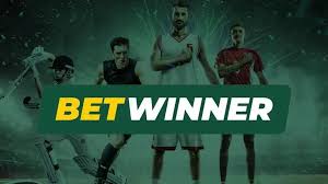 BetWinner Online Bookmaker Your Ultimate Betting Experience