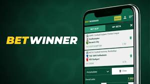 How to Log In to Your BetWinner Account 2088766017