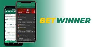 Discover the Thrills of BetWinner Casino A Gamer's Paradise
