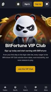 Highest RTP Slots at Bitfortune