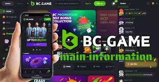 Understanding BC.Game Payments A Comprehensive Guide