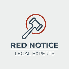 Understanding the Role of Interpol Lawyers in International Law 1331145770