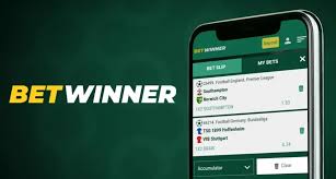 BetWinner Benin Online Casino Your Ultimate Gaming Destination -809201433