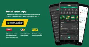 Ultimate Guide to BetWinner Brazil Bonuses -813626870 Ultimate Guide to BetWinner Brazil Bonuses -813626870