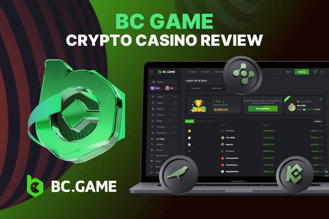 Guide to the BC.Game Mirror Registration Process