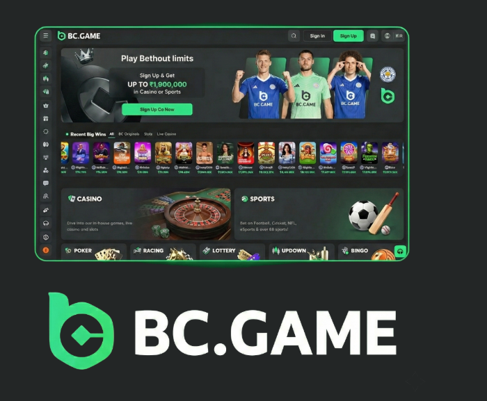 Everything You Need to Know About BC.Game Registration